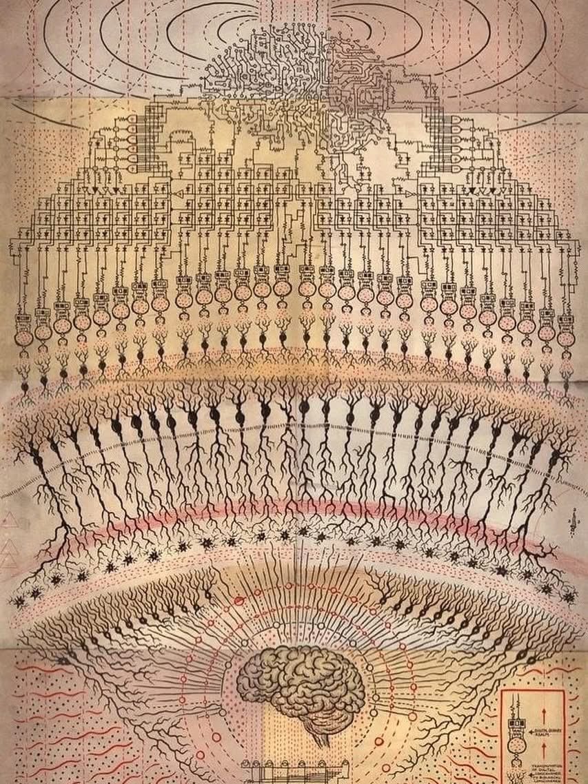 An antique-style schematic on aged parchment: digital circuit traces at the top resolving downward through rows of logic gates into neurons and dendrites, terminating in a human brain at the base - the transmutation of circuitry into biological thought